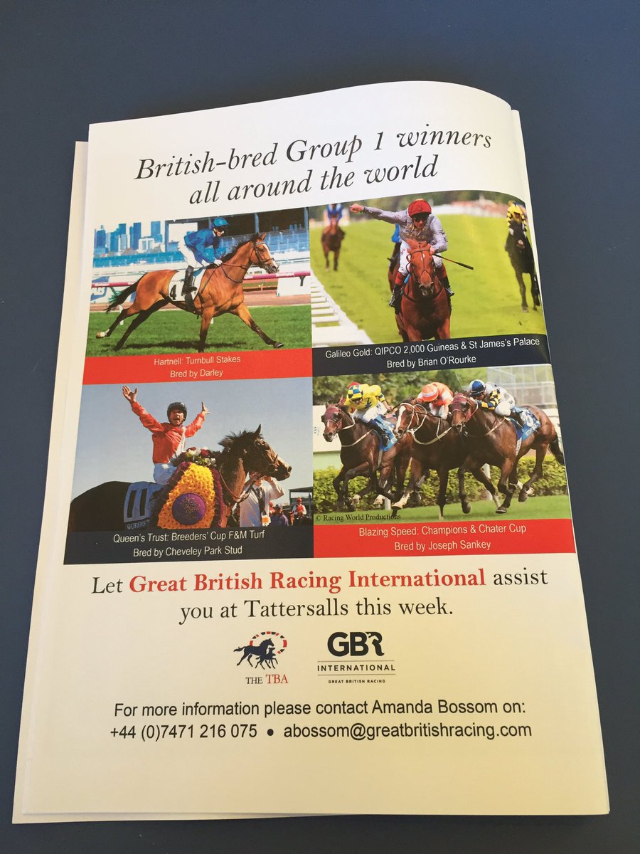 theTDN's tweet photo. British-Bred Group 1 Success Around The World. Contact @GBRI_UK. https://t.co/ypcIBojDCE