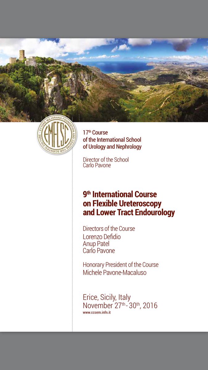 Flexible ureteroscopy course in Erice with Dr Patel!