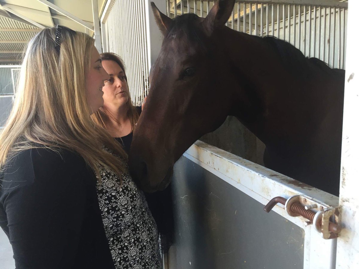 rach_d87's tweet photo. Hey @TimTamsOG look who's racing in their first race on Wednesday for @fcbloodstock !!! 😍 #wefellinlove #BelBlaster https://t.co/XGsHsHrocY
