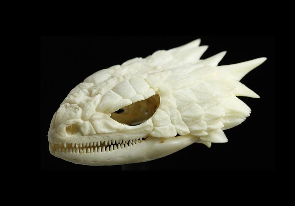 Strange_Animals's tweet photo. The skull of an armadillo lizard!

(Photo: Black Dog) https://t.co/3seJ898C1A