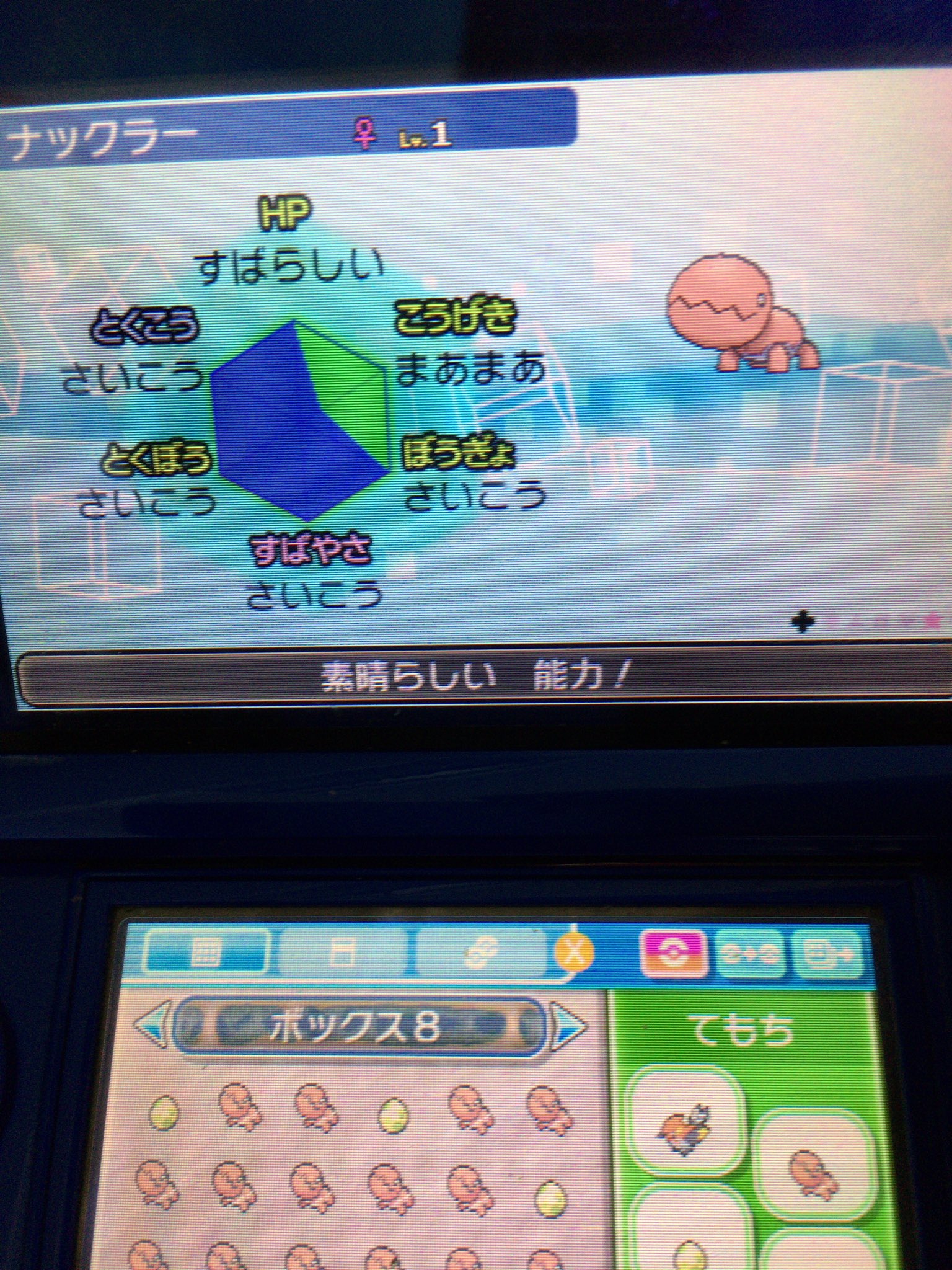 あてん ポケモンムーン A抜け5ｖようきナックラー出します きあいのタスキorいのちのたまと交換してください ポケモンsm ポケモンサンムーン フライゴン T Co Nrr7zng8b8 Twitter