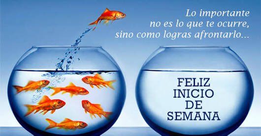 NormalTejupilco's tweet photo. La actitud hace la diferencia https://t.co/ElYSVBd4QH
