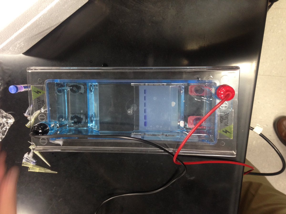 Life Science Academy tweet media