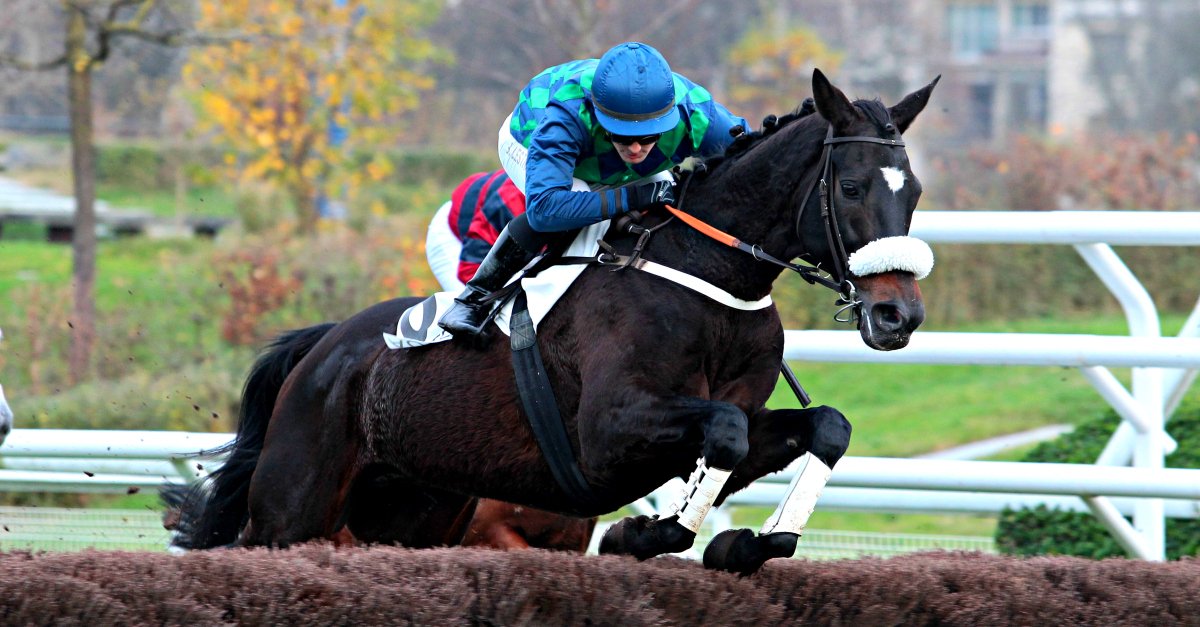 [RETOUR D'UN CHAMPION] Découvrez l'histoire de Bel La Vie et revivez sa belle victoire hier à Auteuil 🐴 🏆 ► equid.la/2fsCQmp