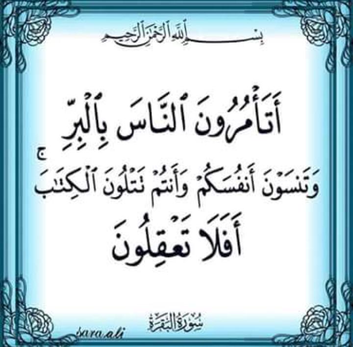 MuhammadAlasma3 tweet picture