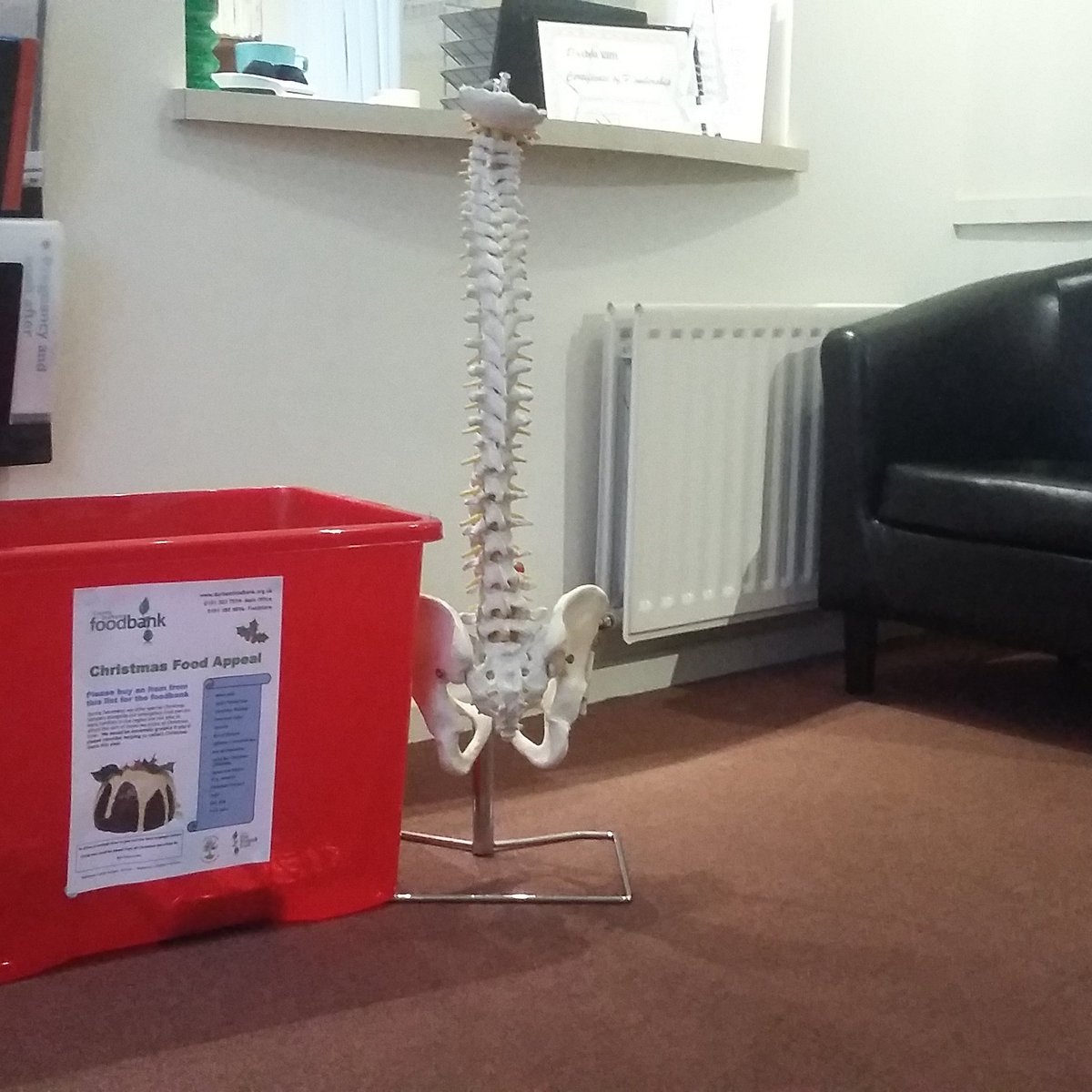 durhamchiroprac's tweet photo. Collecting #food for  @durhamfoodbank #northeasthour no one should go hungry https://t.co/S1xFQ8orCa
