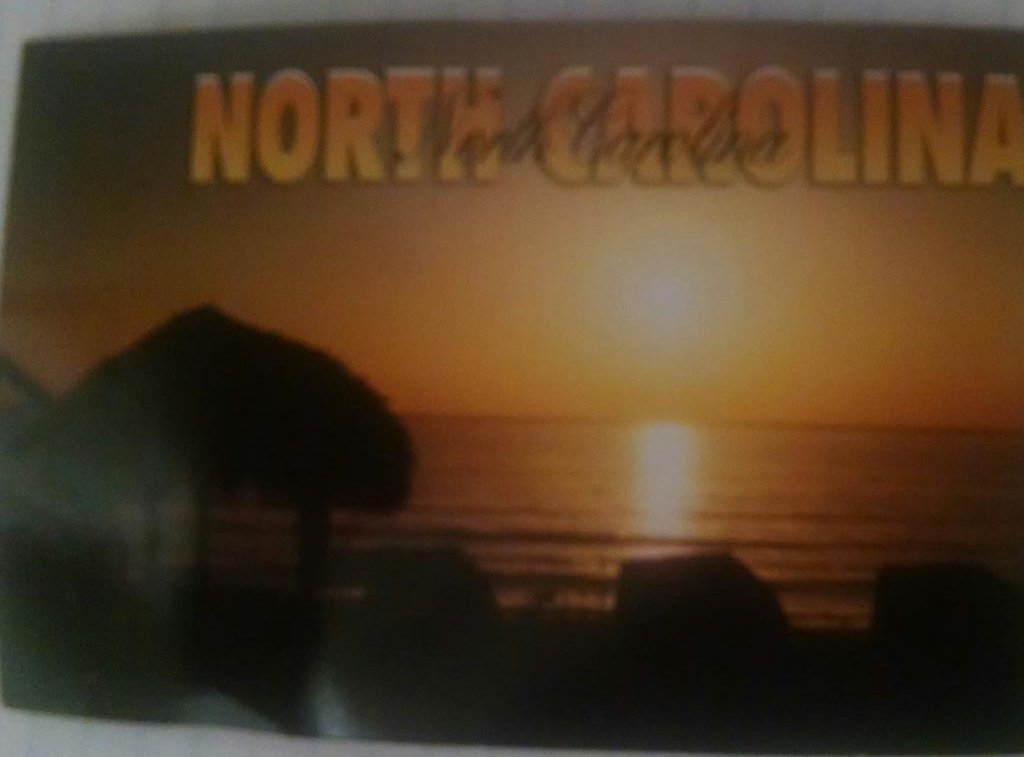 Beth McDonough tweet media