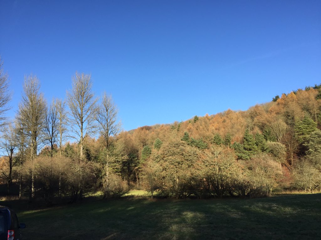 mathew_rivers's tweet photo. Coombe End #Riverswoodsporting #sportingagent #gameshooting https://t.co/RWYlFRXUgy