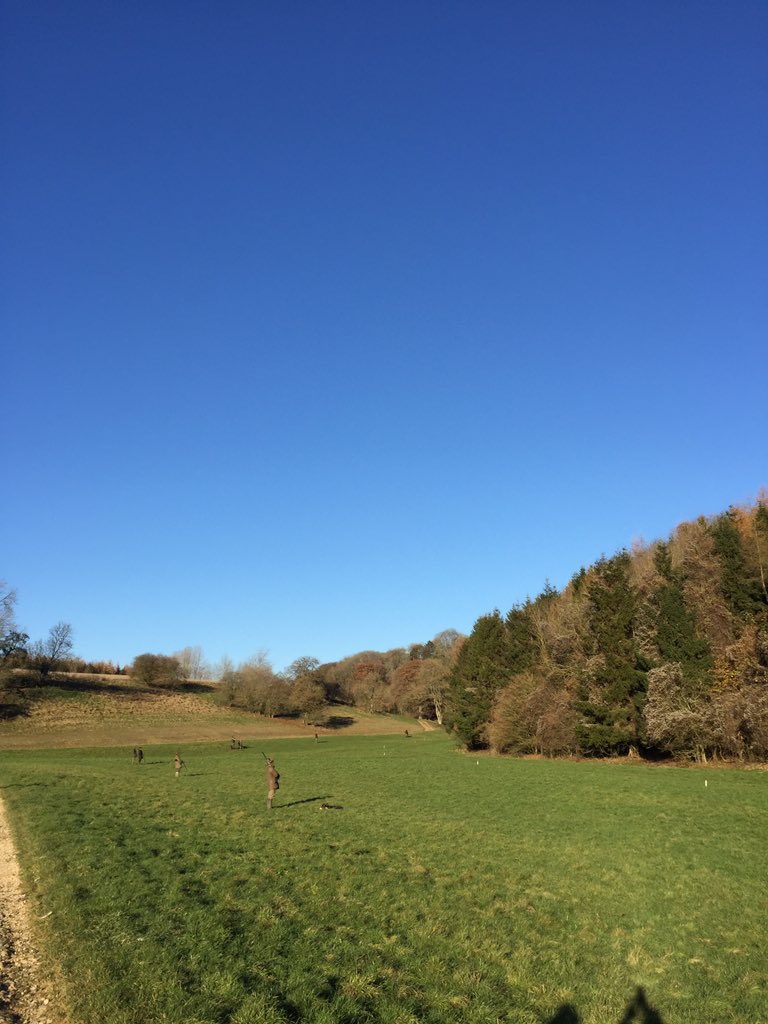 mathew_rivers's tweet photo. Coombe End #Riverswoodsporting #sportingagent #gameshooting https://t.co/RWYlFRXUgy