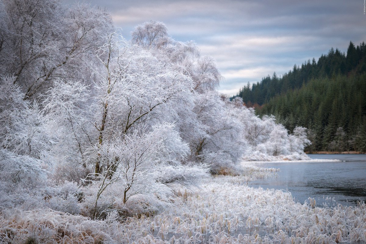 wmdore_images's tweet photo. For #fsprintmonday, some frosty trees. #Nikon #Photography @VisitScotland @lomondtrossachs @ScotsMagazine @Fotospeed https://t.co/MrlPSSed0d