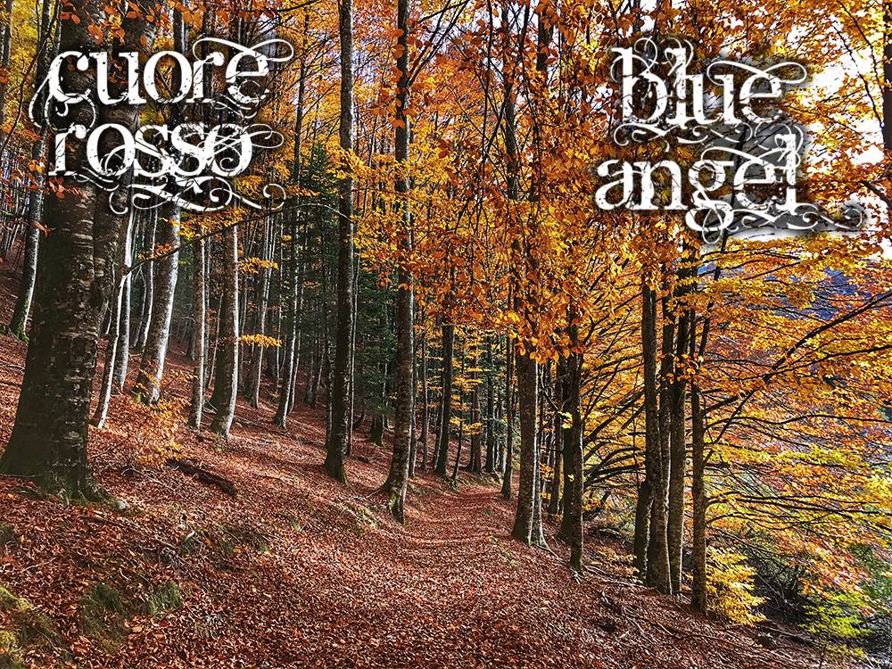 AlquimistaDrink's tweet photo. El otoño es mucho mas bonito con #BlueAngel y #CuoreRosso. Unete al #Goodrinking. #Ginebra #gintonic #FelizLunes https://t.co/w6D7IEujp8