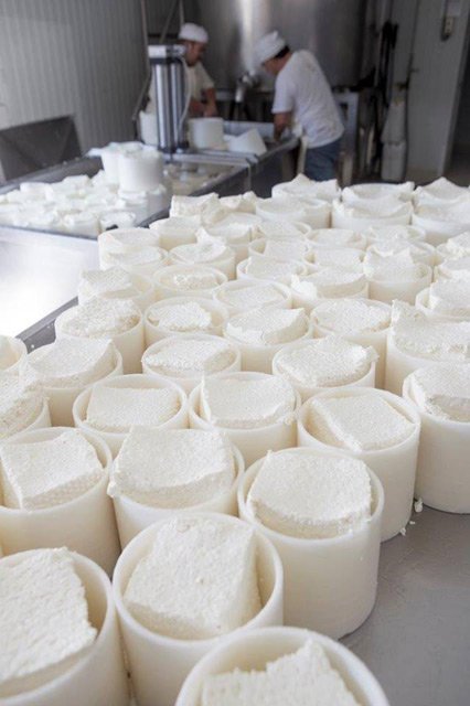 canarejal's tweet image. Después de cumplir 20 años haciendo quesos de forma artesana, seguimos trabajando como nunca en nuestra quesería. #cheeselovers