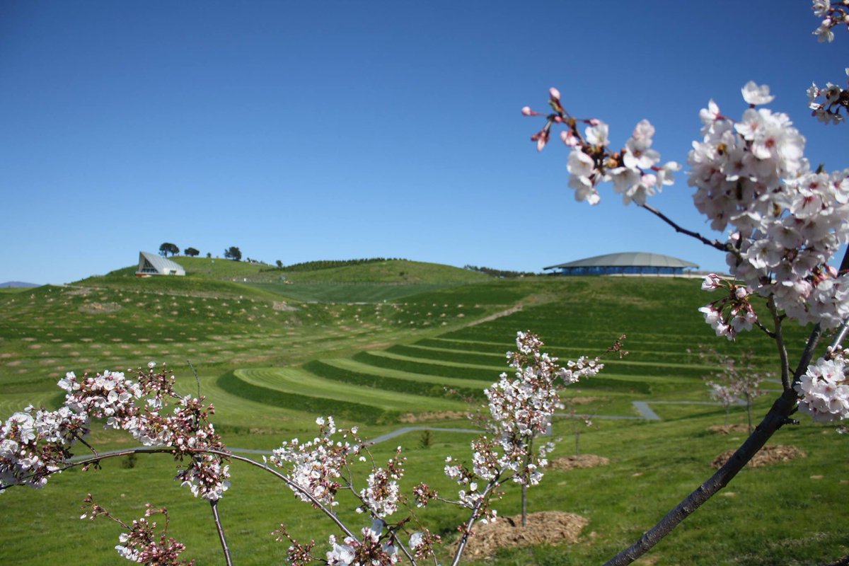 Dubesaustralia On Twitter Jelajahi Podplayground Natarboretum