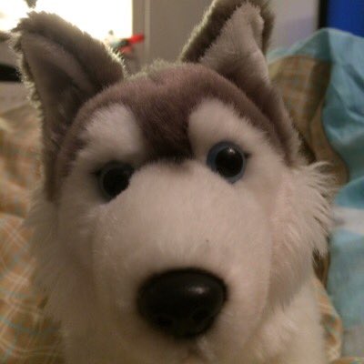 ! ACHTUNG ! Neues Format auf meinem Acount Klein Berni und sein Leben