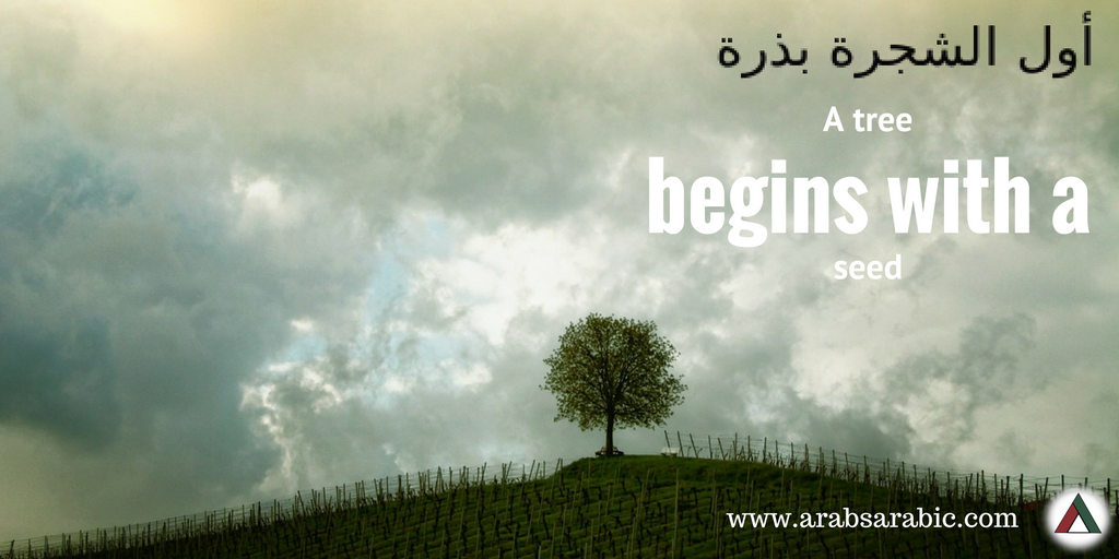 ArabsArabic's tweet photo. أول الشجرة بذرة
A tree begins with a seed.
It's #Monday, don't forget to keep fighting for your dreams!
#Motivation #Arabic #quotes https://t.co/bA2WnnrauT