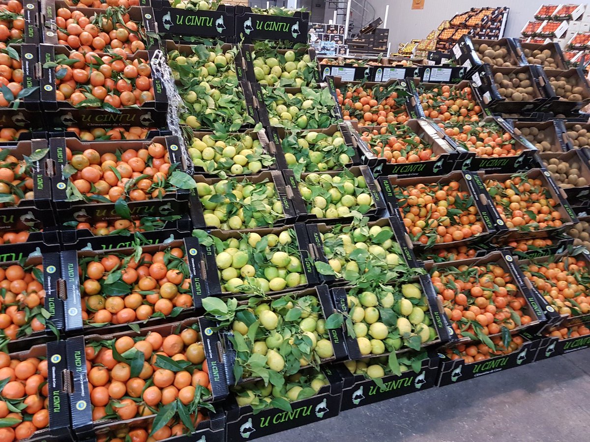 S@MY.SCARDIGLI (@scardigli_) on Twitter photo 