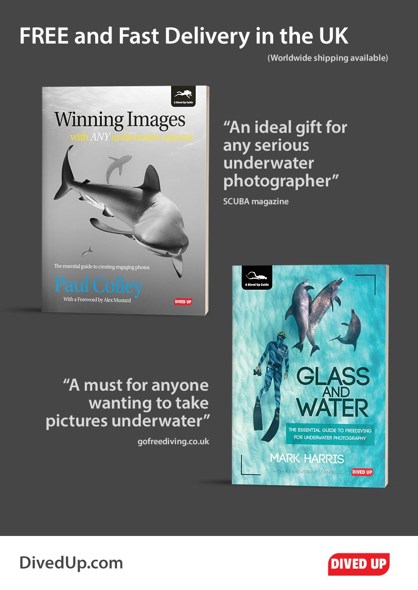 Secrets of how to make superb underwater photos divedup.com/product-catego… #diving #scuba #gifts #underwaterphotography @paul_colley <a href="/altsaint/">Mark Harris</a>