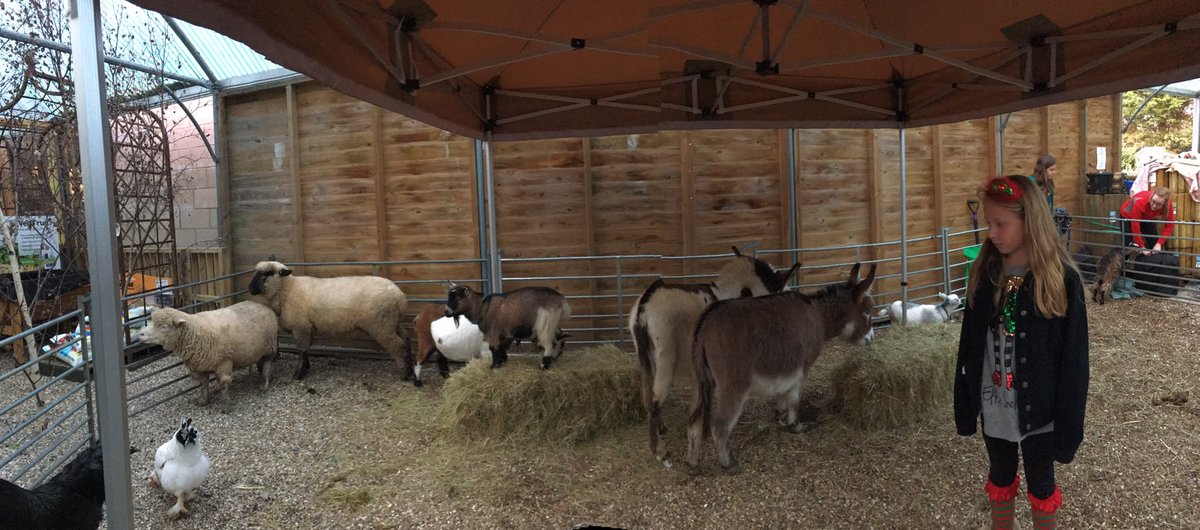 LoveRussells's tweet photo. So many lovely people came to our snowdrop charity day yesterday at Russells - loved the animals https://t.co/clCjN0Q5Ri