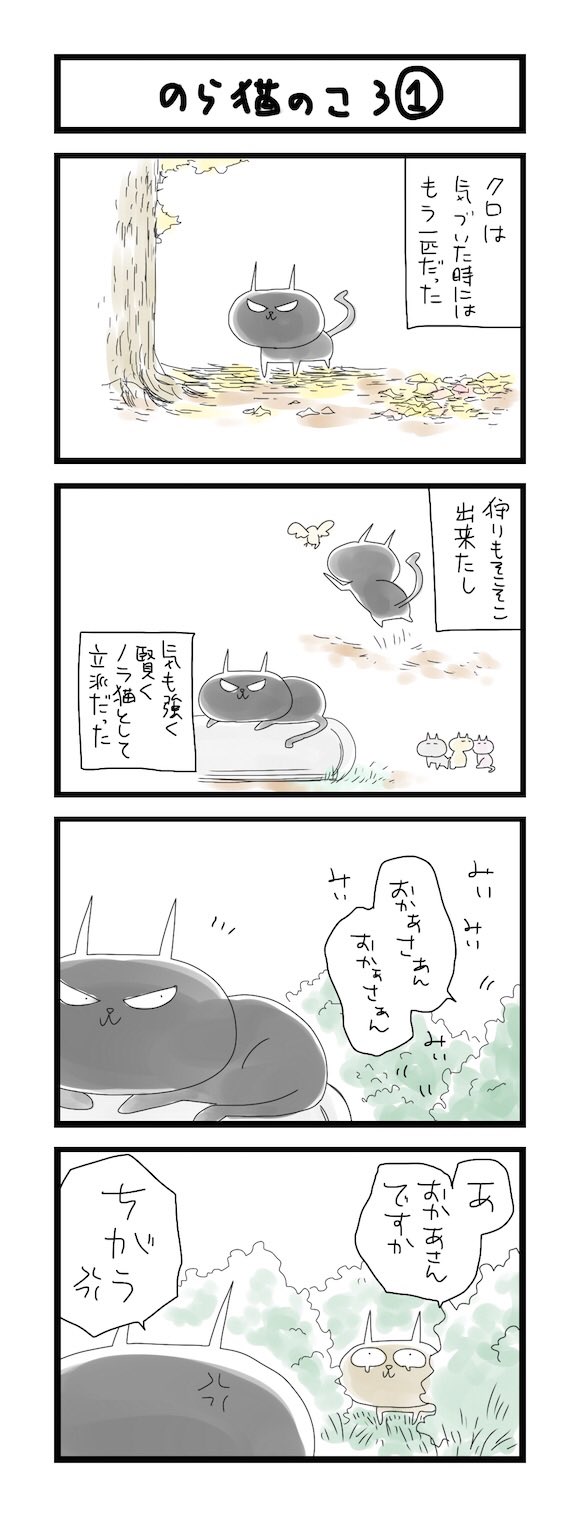 のらねこ様 Alqudsplastic Com