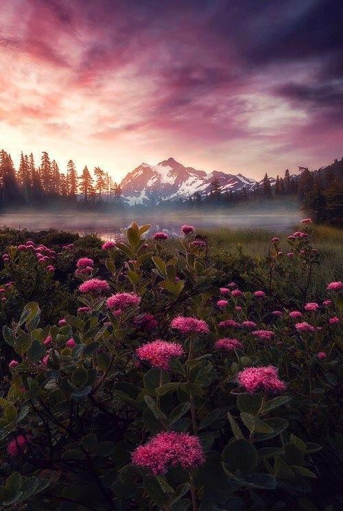 Estrella51Ahora's tweet photo. "Life can never be perfect, but you can always see it in a perfect way."💐🌟💕 https://t.co/DO7b0s5TM2