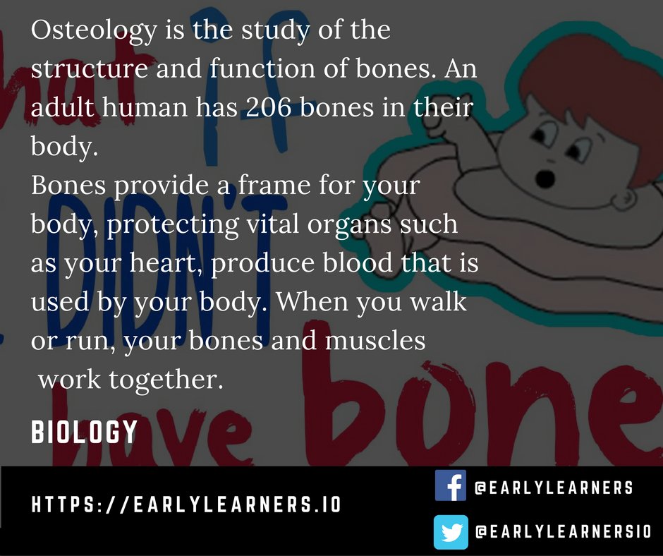 earlylearnersio's tweet photo. #Osteology is study of structure and function of bones. They provide frame for your body. #lsned #biology #bones #earlylearners https://t.co/pXgqSj3HzJ