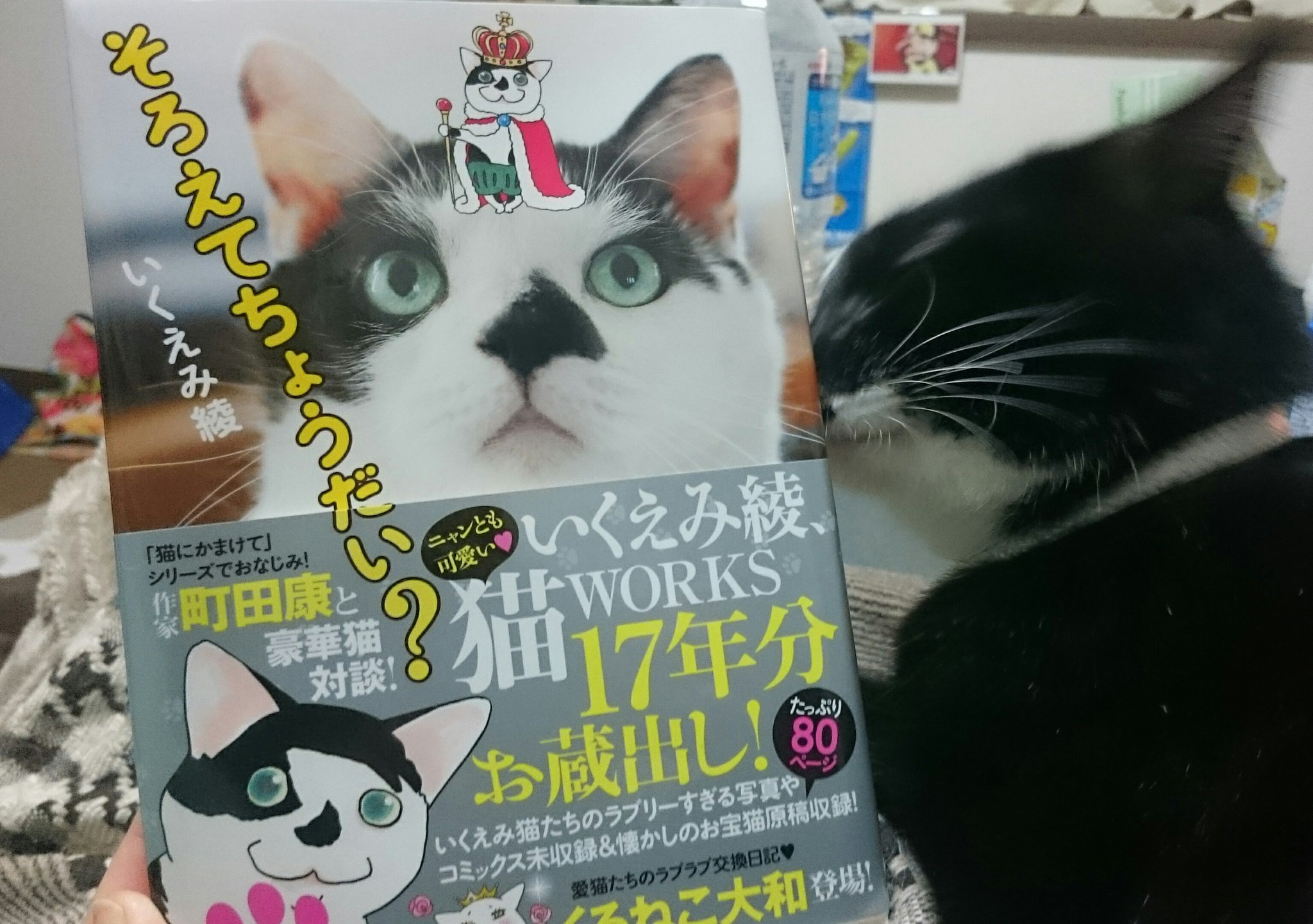 そろえてちょうだい Twitter Search Twitter