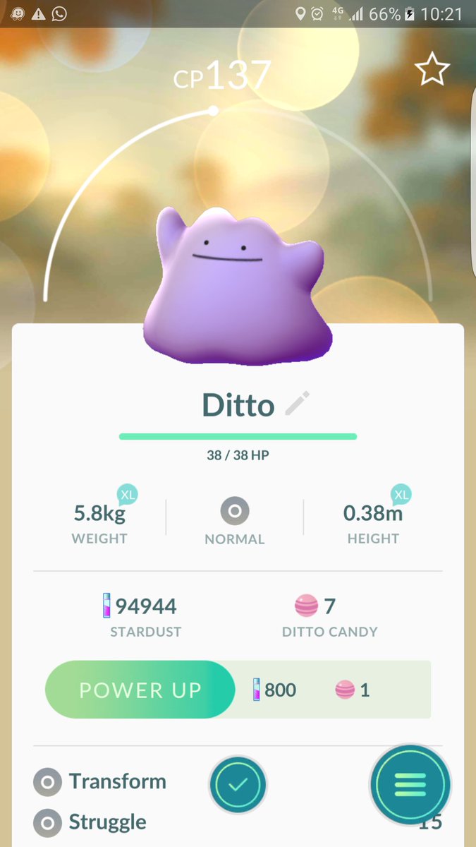 ricalauri's tweet image. Ditto, eba!