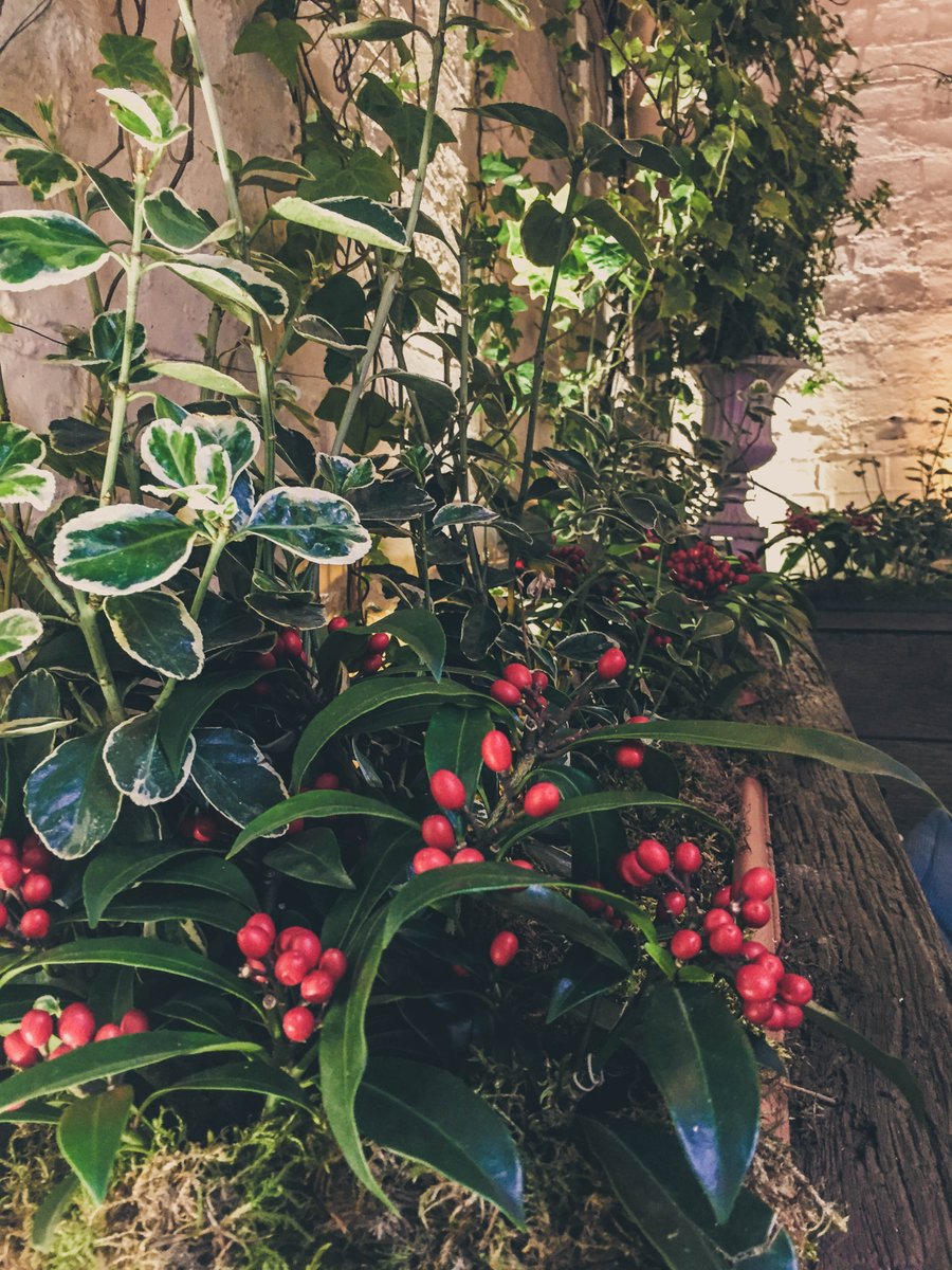 The Yard tweet media