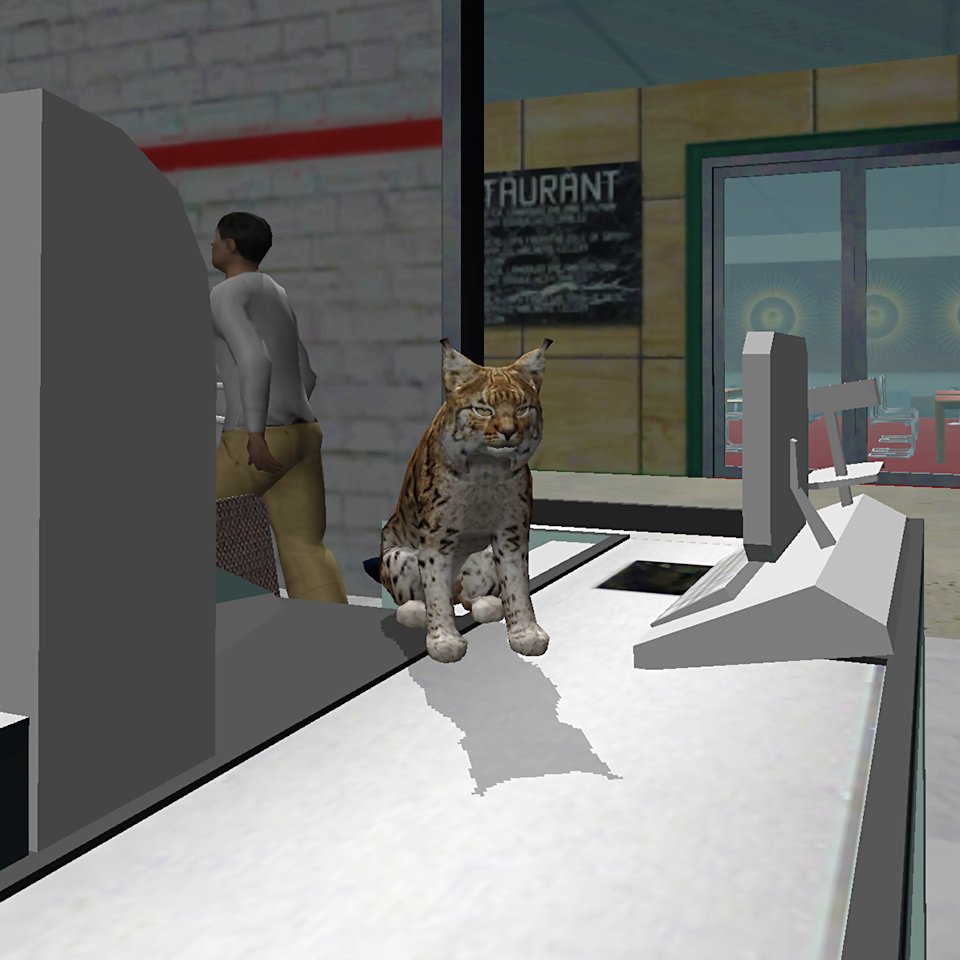 Cat Simulator tweet media