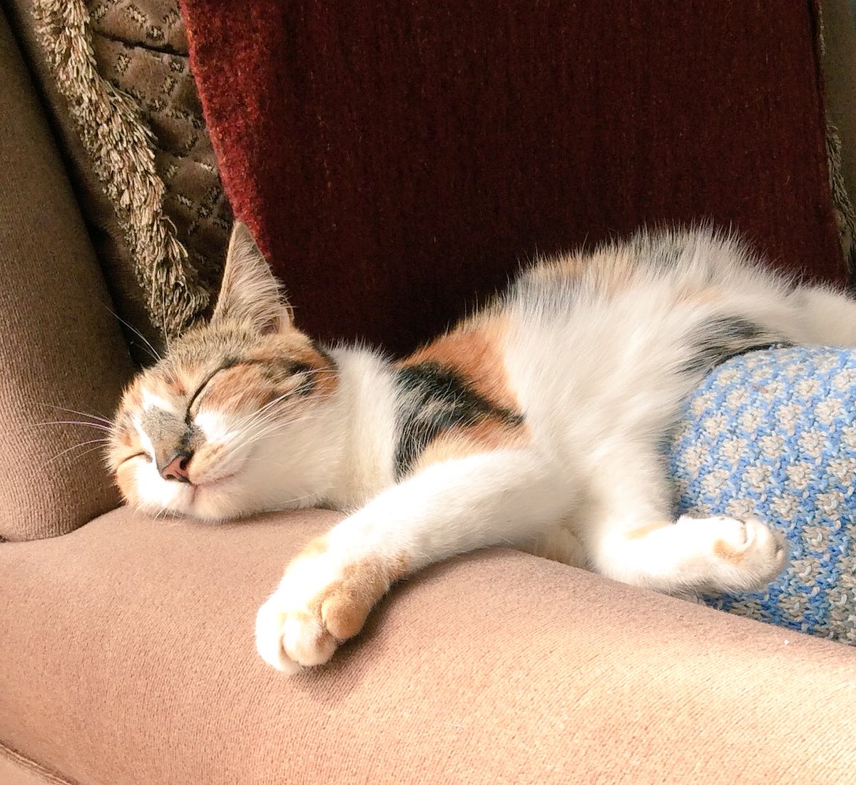 LouiseCottey's tweet photo. Home now, unpacked &amp; curled up with the cat. Thanks @CraftCentralUK for a great Made in Clerkenwell. #MIC2016 I'll be back! https://t.co/gPJnrOw2XC