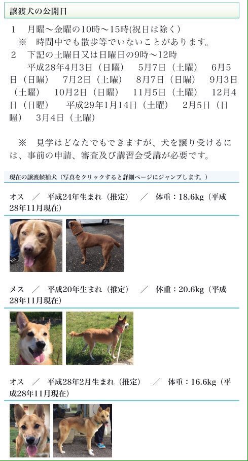 tamutam63196149's tweet photo. 🐶#拡散 #兵庫県 #保健所 #保護犬 #里親 募集中
#神戸市 動物管理センター
📢12/4(日)&amp;平日10〜15時に譲渡会
➡︎https://t.co/4ktIVjnrKk
飼い主のお迎えが無かった3頭が新しい家族を待っています
神戸市近郊で犬と暮らしたい方🙏 https://t.co/zfYQFWwbf0