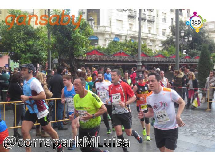 correparkMLuisa's tweet photo. Ispossible Team en la galería de la Media de Córdoba. Más fotos: https://t.co/3CRLv7I1Z3 #mediamaratoncordoba #gansaber https://t.co/MvErb9lFlY