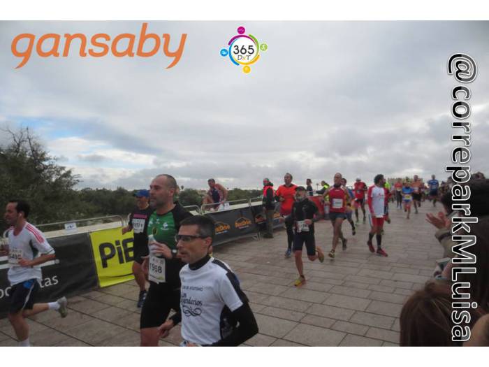 correparkMLuisa's tweet photo. Los Legendarios en la galería de la Media de Córdoba. Más fotos;: https://t.co/3CRLv7ZDnD #mediamaratoncordoba #gansaber https://t.co/EMxnXCXvEI