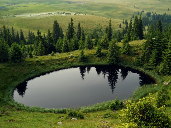 MapSights tweet media