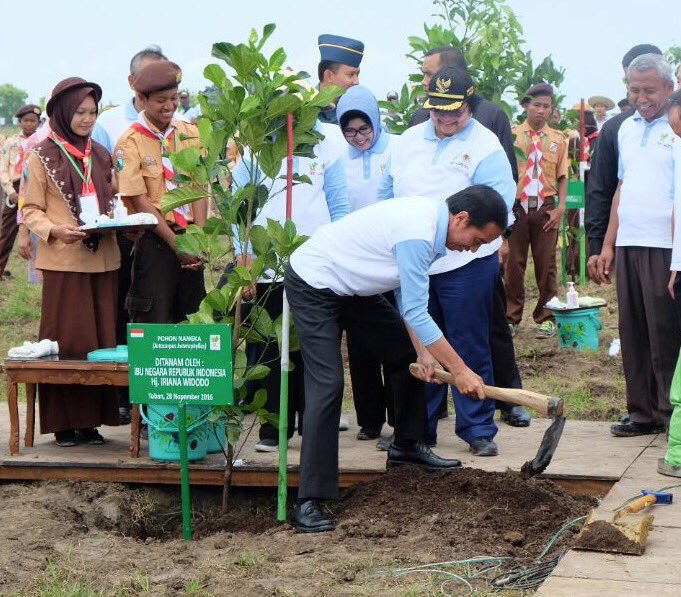 Penanaman pohon serentak di Tuban masuk Guinness Book of Record. Menanam pohon, menanam doa. Ayo jaga kelestarian alam Indonesia -Jkw