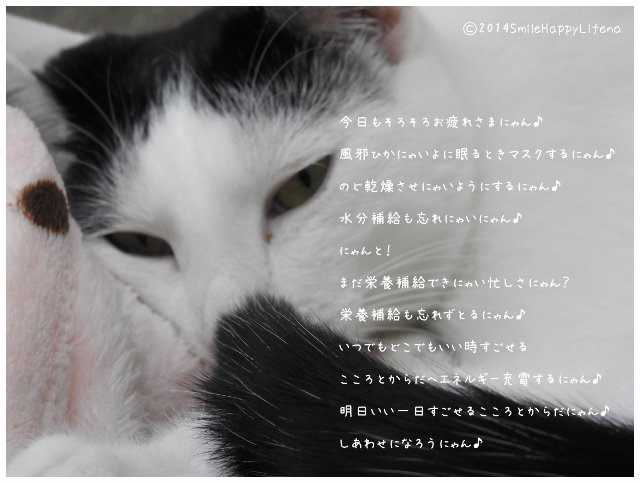 Twitterで画像を見る