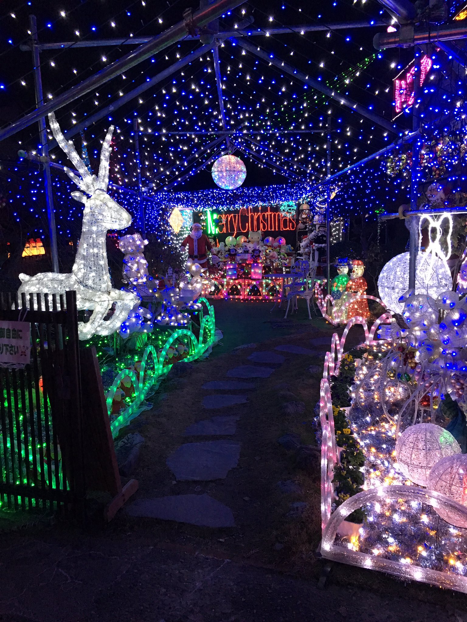 我孫子市 布佐のイルミネーション Ishii Xmas Twitter