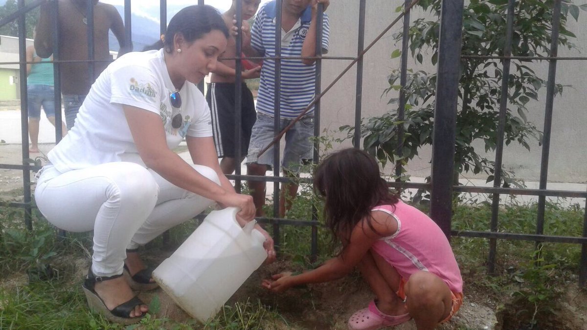 Entre todos podemos purificar el aire que respiramos. Plantemos más árboles #Plantemosporelbuenvivir