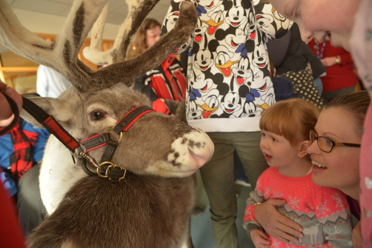 StMichaelsHosp's tweet photo. Come see our REINDEER VISIT here at the Hospice, Friday 16th December, 3-4pm! Tea and coffee, too: FREE festive family fun! #herefordhour https://t.co/oHdAOtXmMW