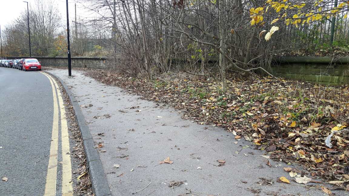 Clean_Leeds's tweet photo. #westlocality keeping paths free from leaves #tidy #paths #goodwork @Lucinday @WLDispatch #cleanleeds https://t.co/kNT1fNk7X8