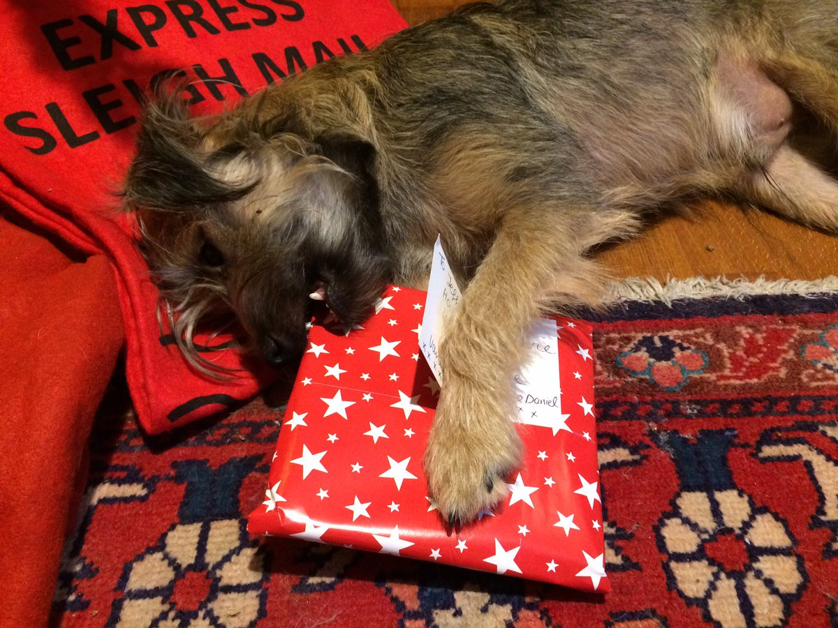 ShepherdsPieDog tweet picture