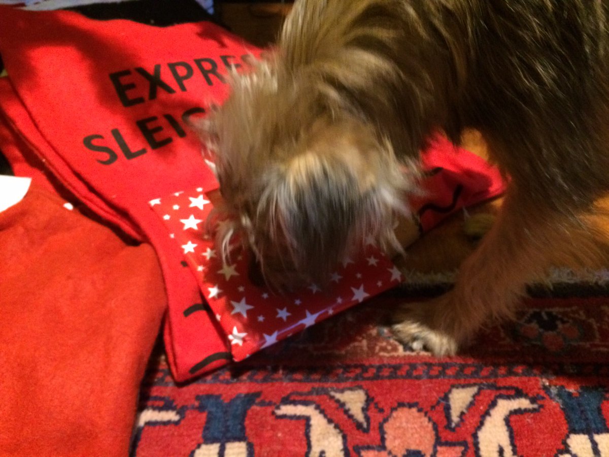 ShepherdsPieDog tweet picture