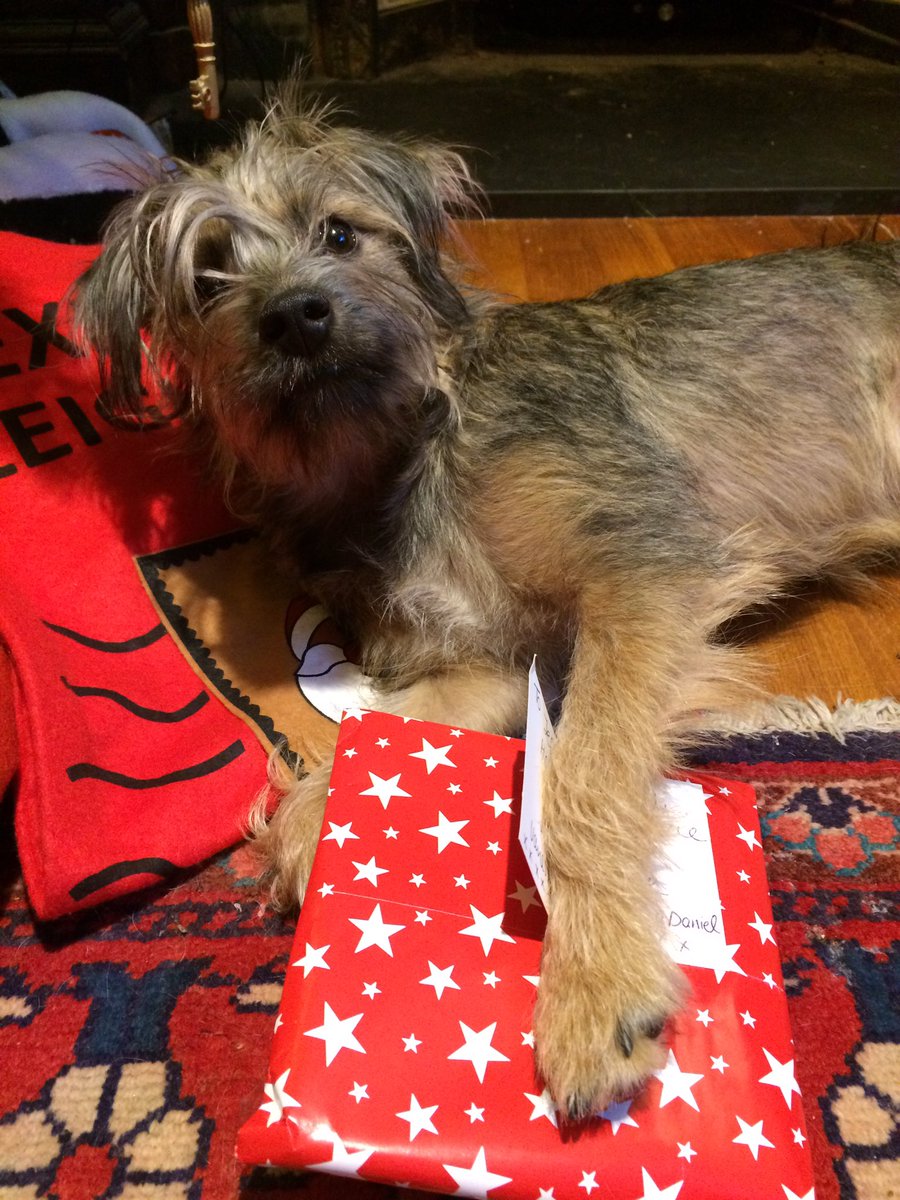 ShepherdsPieDog tweet picture