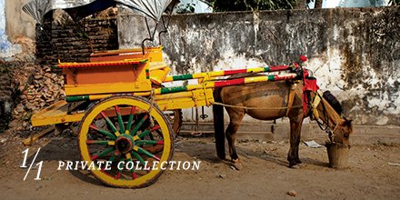 SanlamPW tweet media