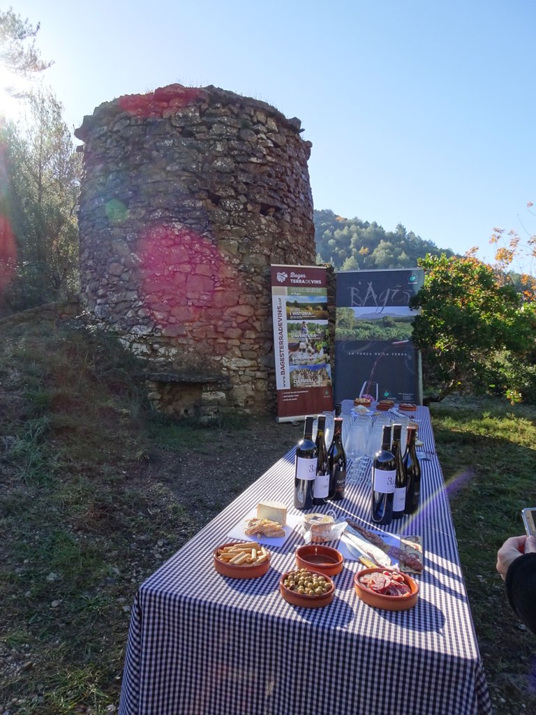 lostrotafurgos's tweet photo. #larutadelestines probamos vinos de #cellerabadal #ollerdelmas #cellersolergibert #BagesBcnTb #BagesTerradeVins #BCNmoltmes  #PaisatgesBCN https://t.co/fsqVPUrpN3
