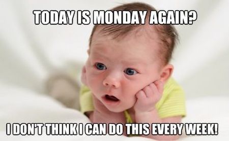 BusyBeeNYC's tweet image. Mondays , even babys know about it. #mondays #work #baby