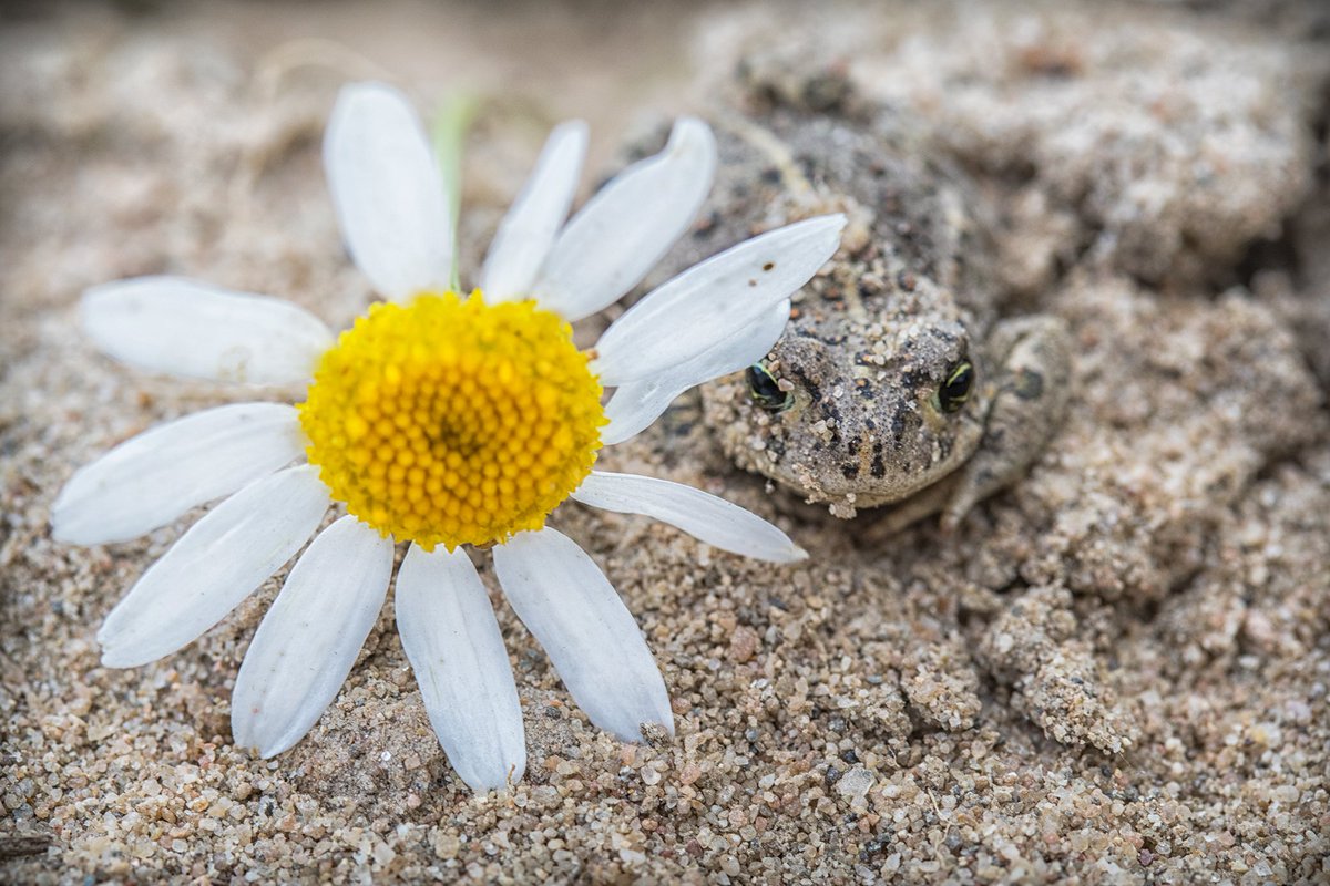 We zitten klaar voor een nieuwe aflevering van #HetPerfectePlaatje! Straks om 21.30 uur op <a href="/RTL4/">RTL</a>! #zinin bit.ly/CanonhetPerfec…