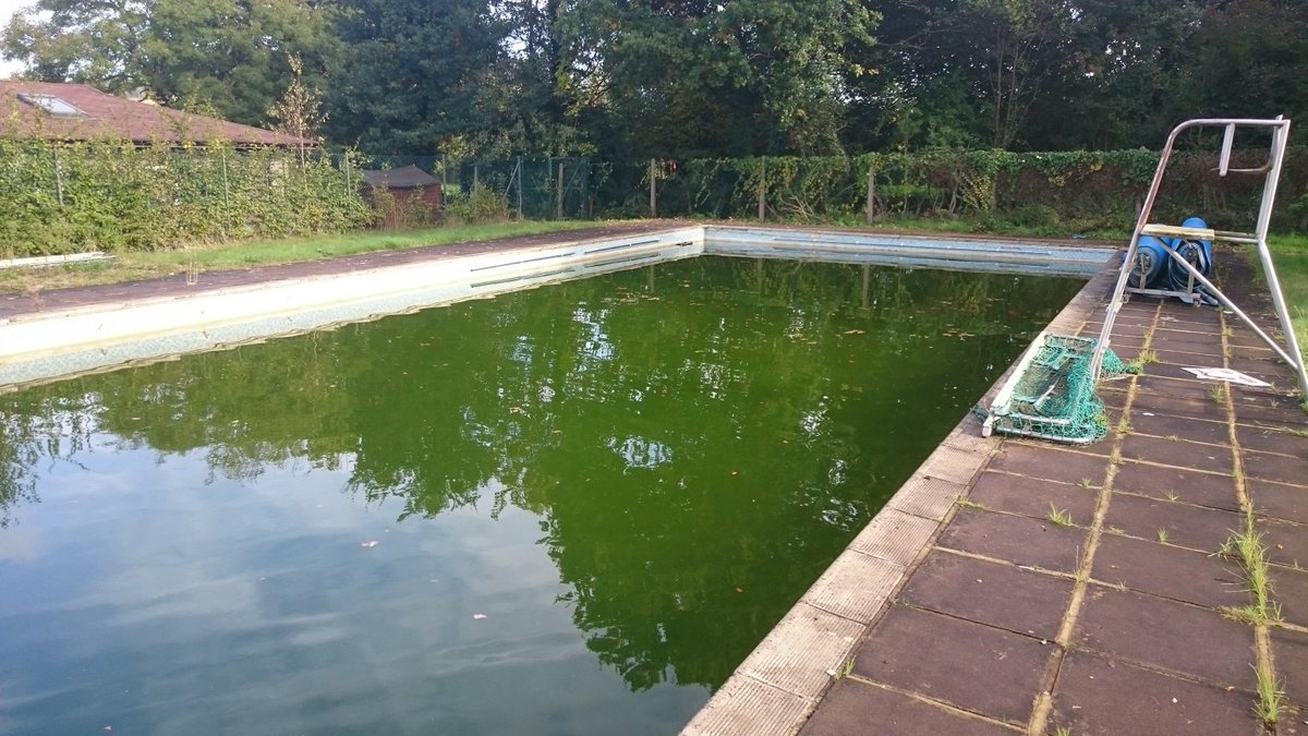 TillingbSOS's tweet image. Less than 48 hours left to vote! Please make your vote count! #saveourswimming #swimming #OneFamCA #RT
foundation.onefamily.com/projects/tilli…