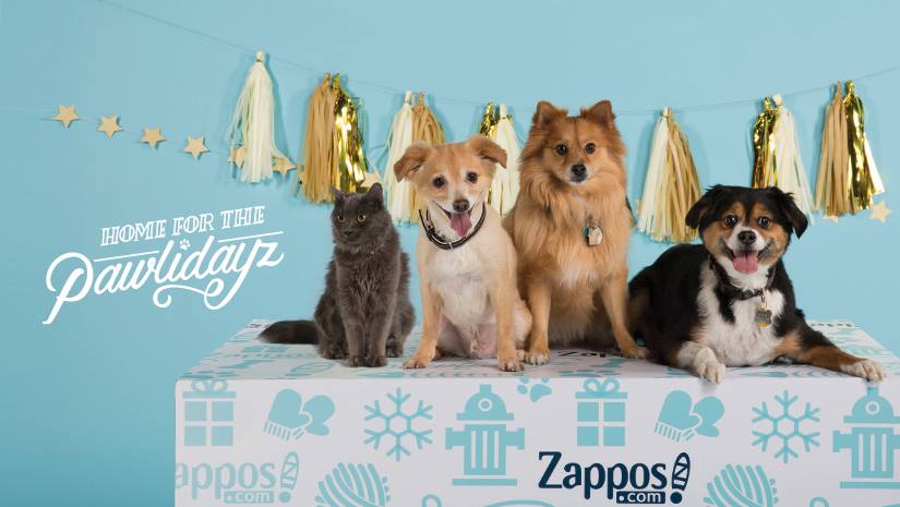 Capribthomas's tweet photo. @Sethrogen RT/RT Nothing beats cuddles with your furry best friend, rescue a pet this weekend https://t.co/DOHmbOZRTl  #pawlidayz https://t.co/1E5spsxd2b