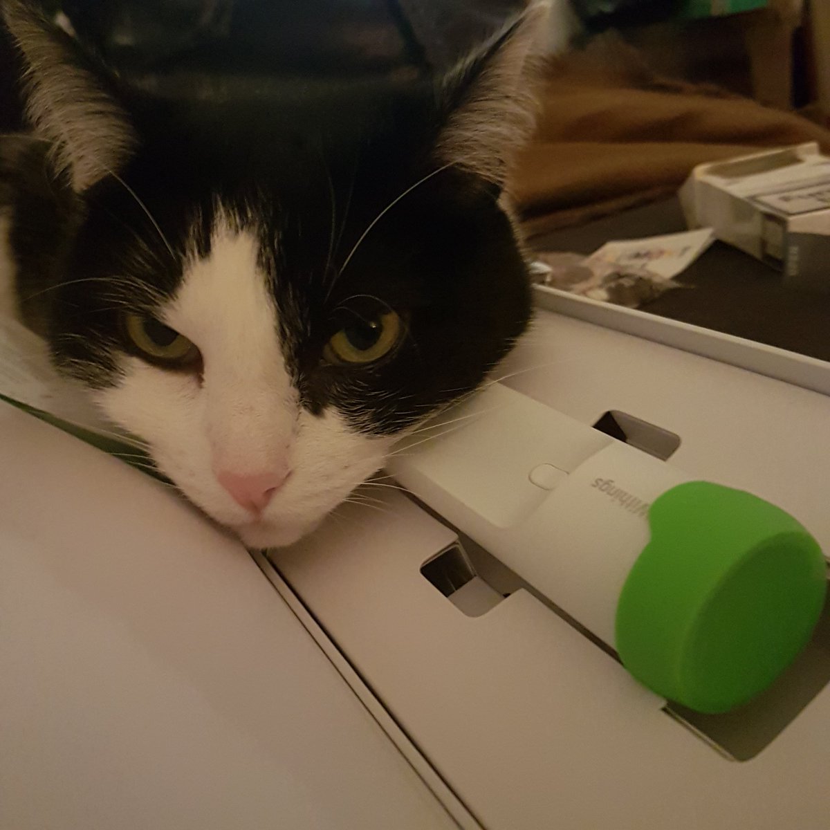 SChabanne's tweet photo. @WithingsFR Bien reçu le Thermo mais ça marche avec elle aussi ? Elle veut tester ! https://t.co/zyqskk1Rck
